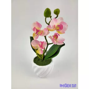 Cserepes gumi orchidea 22 cm - Púder Rózsaszín