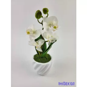 Cserepes gumi orchidea 22 cm - Fehér