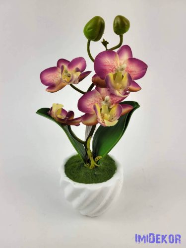 Cserepes gumi orchidea 22 cm - Mályvás