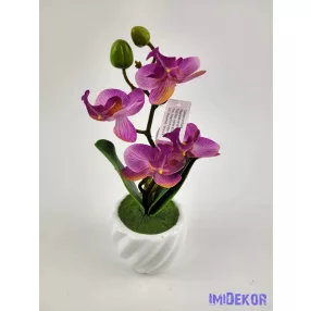 Cserepes gumi orchidea 22 cm - Világos Lilás