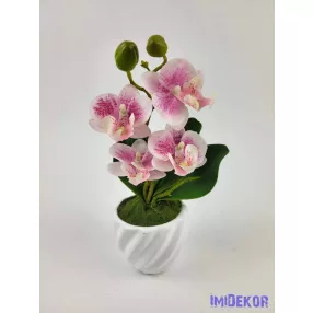 Cserepes gumi orchidea 22 cm - Fehér Cirmos