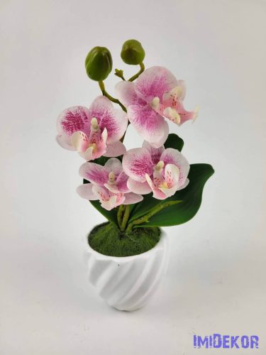 Cserepes gumi orchidea 22 cm - Fehér Cirmos