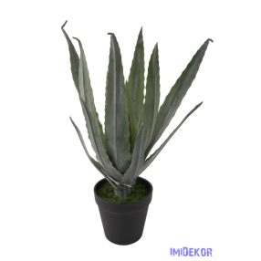 Cserepes aloe vera 32cm