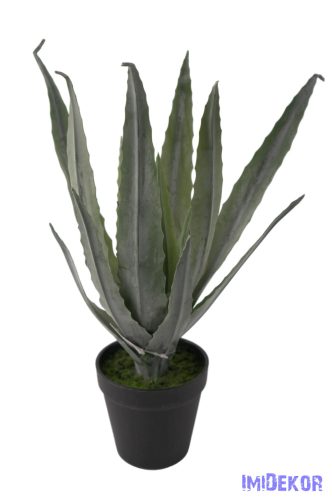 Cserepes aloe vera 32cm