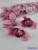 Cymbidium orchidea selyem fej D10 cm - Mályvás