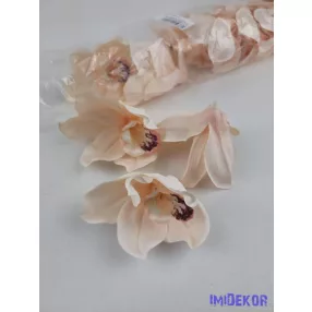 Cymbidium orchidea selyem fej D10 cm - Halvány Barack
