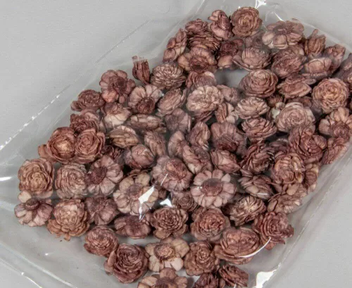 Ming boglárka szárazvirág fej 2 cm - Barna