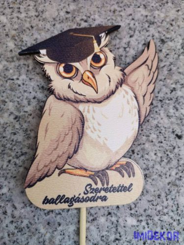 Bagoly Ballagási lézervágott nyomtatott fa figura ballagási betűző 10,5x8,5 cm
