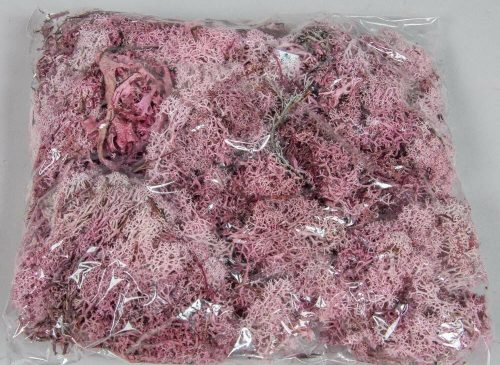 Izlandi moha zuzmó 25 dkg / csomag - Rózsaszín