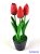 Cserepes gumi tulipán 3 fejes élethű 22 cm - Piros
