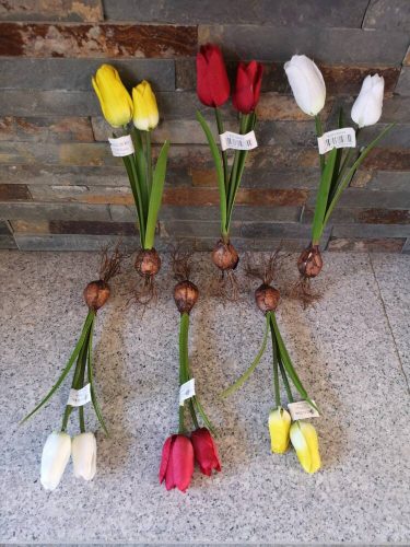 Hagymás tulipán 2 fejes selyemvirág levéllel gyökérrel 36 cm
