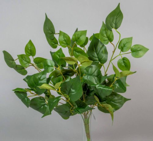 Szívlevelű 9 ágú leveles álló zöld selyem bokor cserepezhető 50 cm