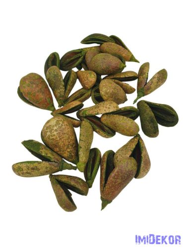 Pear pod 19dkg /csomag - Zöld