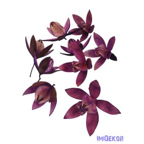 Lily 9db/csomag - Világos Lila