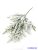Apró levelű havas fenyőág 35 cm