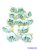 Ranunculus selyem fej 5cm 10db/csomag - Menta