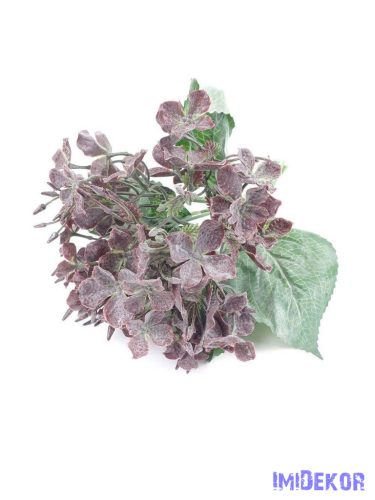 Műzöld művirágos hortenzia bokor 35cm - Sötét Mályva