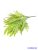 Műzöld csokor 36cm - 383 Világos Zöld