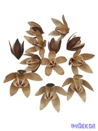 Lily 12db/csomag - Natúr