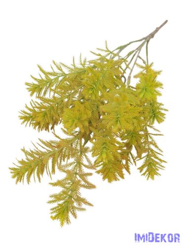 Műzöld díszítő bokor - Sárgás Zöld