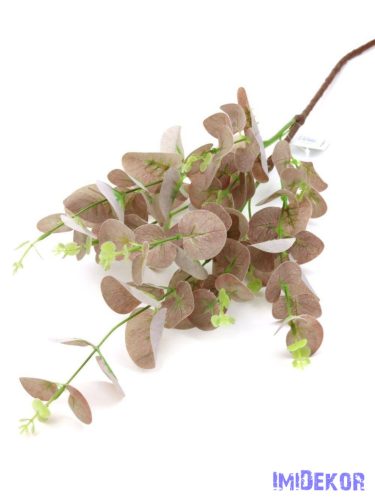 Eukaliptusz ág 86cm - Világos Barna