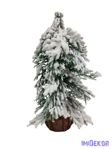 Fa talpas havas fenyő B