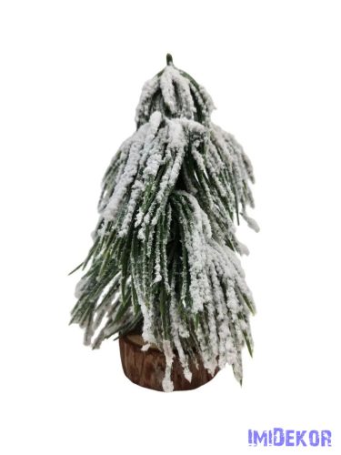 Fa talpas havas fenyő A