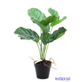 Cserepes mű leveles növény 46cm - 653