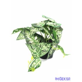 Cserepes leveles kis mű futó 20 cm - 4