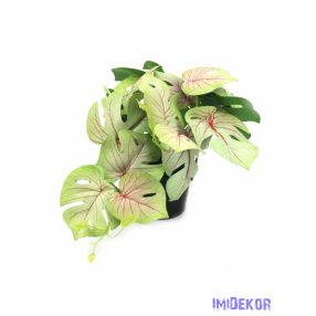 Cserepes leveles kis mű futó 20 cm - 6