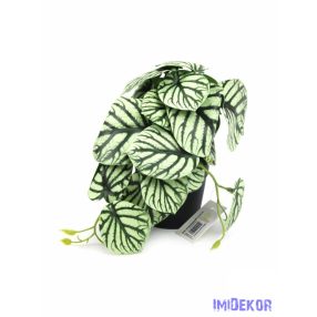 Cserepes leveles kis mű futó 20 cm - 7