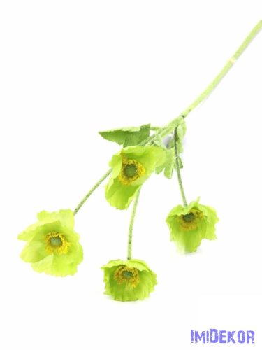 Szálas pipacs 60 cm - Zöld