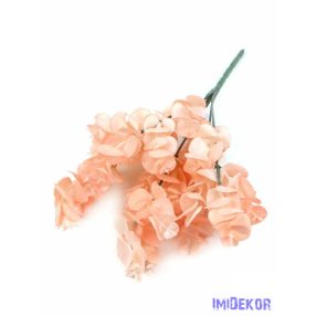 Átmenetes eukaliptusz 32 cm - Rózsaszínes