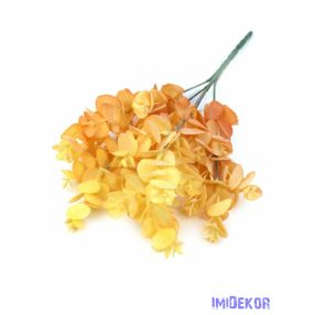 Átmenetes eukaliptusz 32 cm - Barack