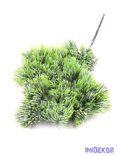 Műzöld vörösfenyő ág - Hamvas