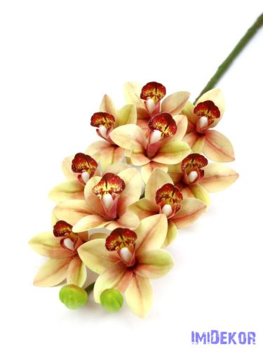 Cymbidium 10 fejes orchidea ág 73 cm - Barack Cirmos
