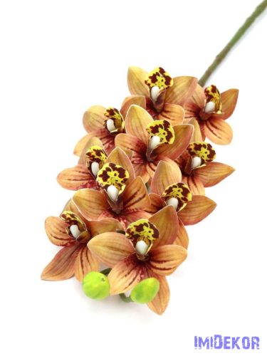 Cymbidium 10 fejes orchidea ág 73 cm - Barna Cirmos
