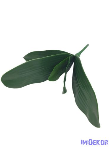 Orchidea levél 5 leveles