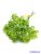 Ernyősvirágú műzöld 3 szálas köteg 31cm - Sárgás Zöld