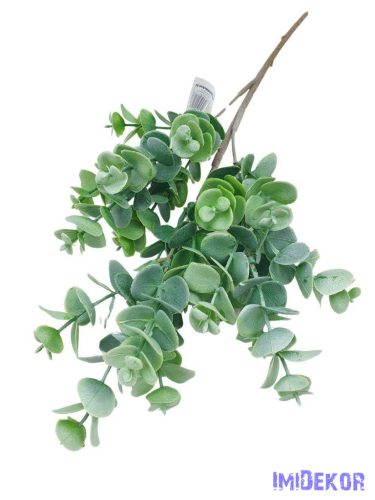 Eukaliptusz ág 50cm - Zöld