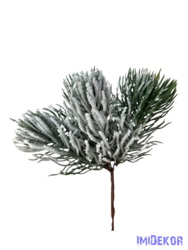 Havas fenyő pikk - Hosszú tűlevelű