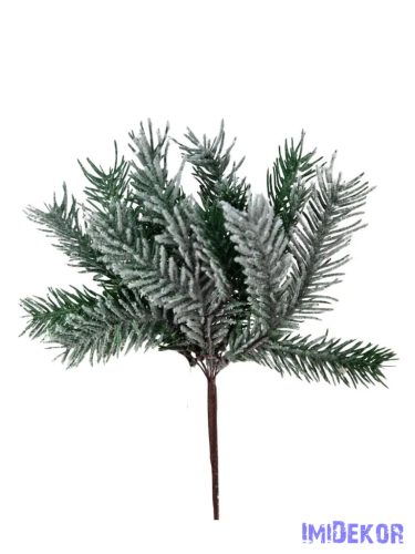 Havas fenyő pikk - Rövid tűlevelű