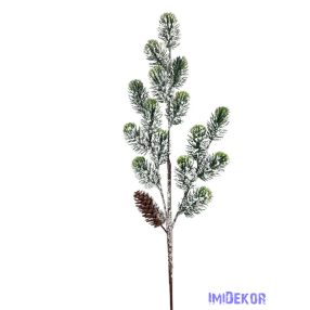 Havas fenyőág szivartobozzal