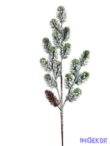 Havas fenyőág szivartobozzal