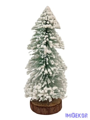 Talpas fenyő havas végű 20 cm - Zöld