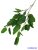 Leveles ág 95cm - Világos Zöld