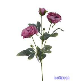 Szálas bazsarózsa 2+1 - Pink