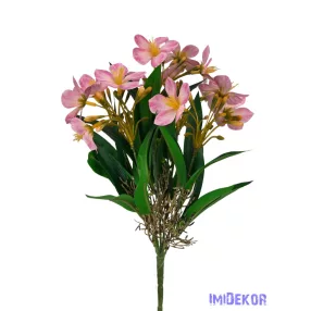 Klívia nyílt csokor 34 cm - Pink