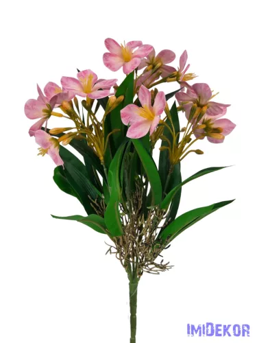 Klívia nyílt csokor 34 cm - Pink