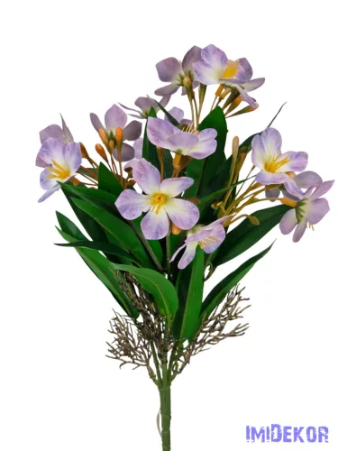 Klívia nyílt csokor 34 cm - Lila